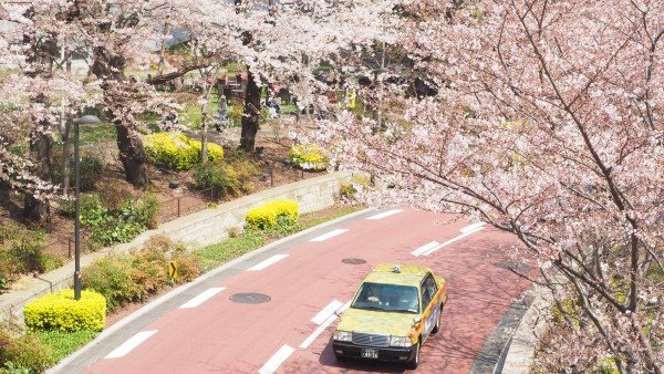 Tokyo Midtown Blossom 2016 at Tokyo Midtown in Roppongi, Tokyo, Japan