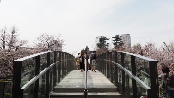 Tokyo Midtown Blossom 2016 at Tokyo Midtown in Roppongi, Tokyo, Japan