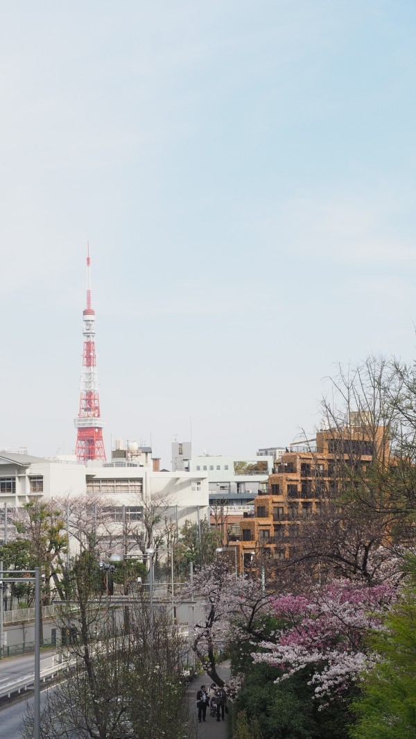 Roppongi Hills in Roppongi, Tokyo, Japan