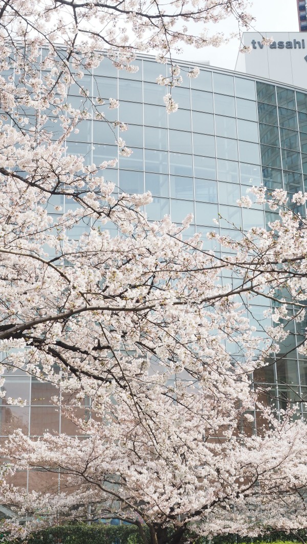 Roppongi Hills in Roppongi, Tokyo, Japan