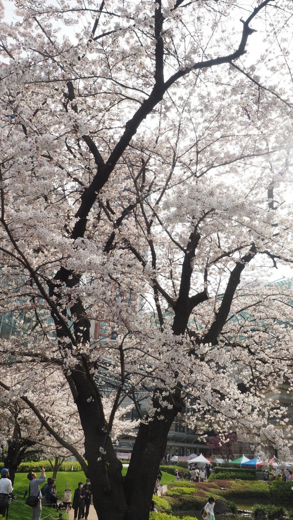 Roppongi Hills in Roppongi, Tokyo, Japan
