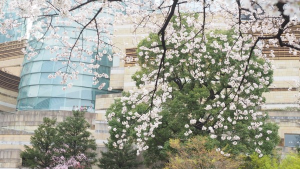 Roppongi Hills in Roppongi, Tokyo, Japan