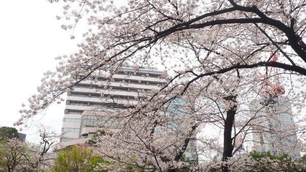 Roppongi Hills in Roppongi, Tokyo, Japan