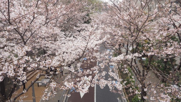 Roppongi Hills Sakurazaka in Roppongi, Tokyo, Japan