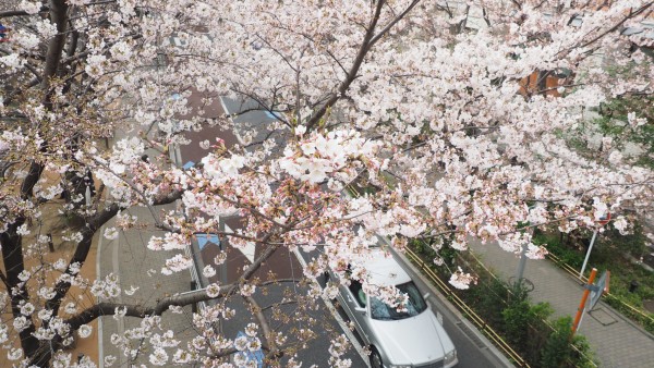 Roppongi Hills Sakurazaka in Roppongi, Tokyo, Japan