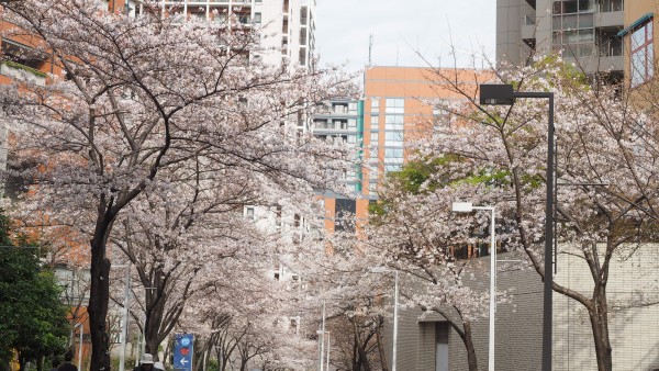 Roppongi Hills Sakurazaka in Roppongi, Tokyo, Japan