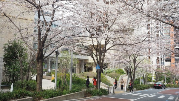 Roppongi Hills Sakurazaka in Roppongi, Tokyo, Japan