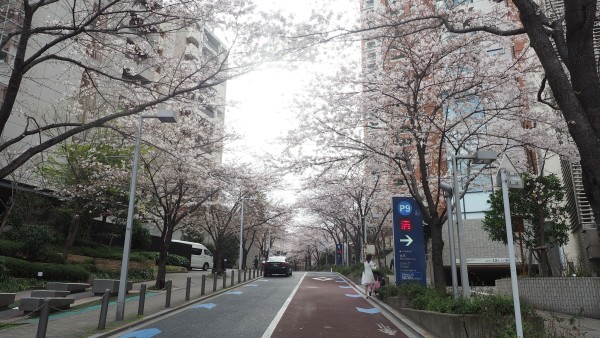 Roppongi Hills Sakurazaka in Roppongi, Tokyo, Japan