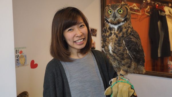 Fukurou no Sato 武蔵野カフェ＆バー ふくろうの里  Owl Cafe Village in Harajuku, Tokyo, Japan