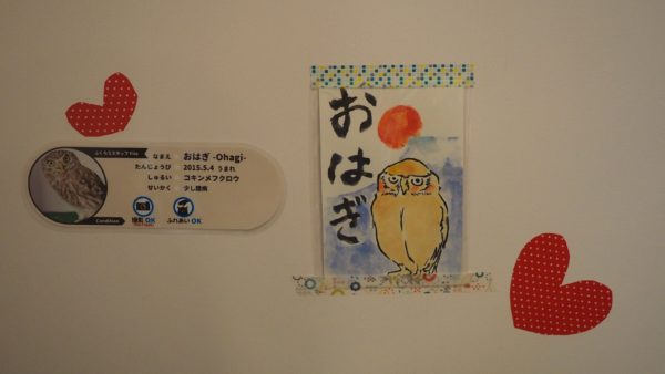 Fukurou no Sato 武蔵野カフェ＆バー ふくろうの里  Owl Cafe Village in Harajuku, Tokyo, Japan
