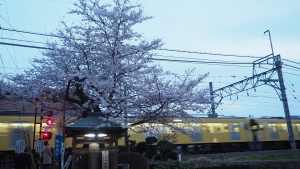 Train in Tokyo, Japan