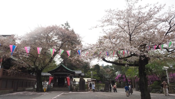 Kitain in Kawagoe, Saitama near Tokyo, Japan