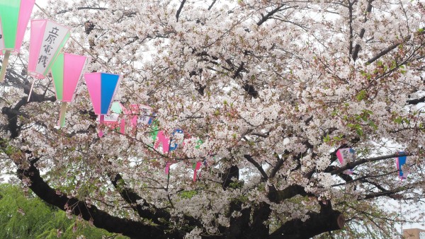 Kitain in Kawagoe, Saitama near Tokyo, Japan