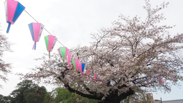 Kitain in Kawagoe, Saitama near Tokyo, Japan