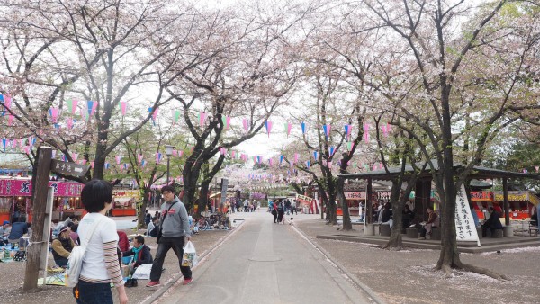 Kitain in Kawagoe, Saitama near Tokyo, Japan