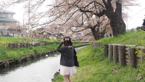 Shingashi River in Kawagoe, Saitama near Tokyo, Japan