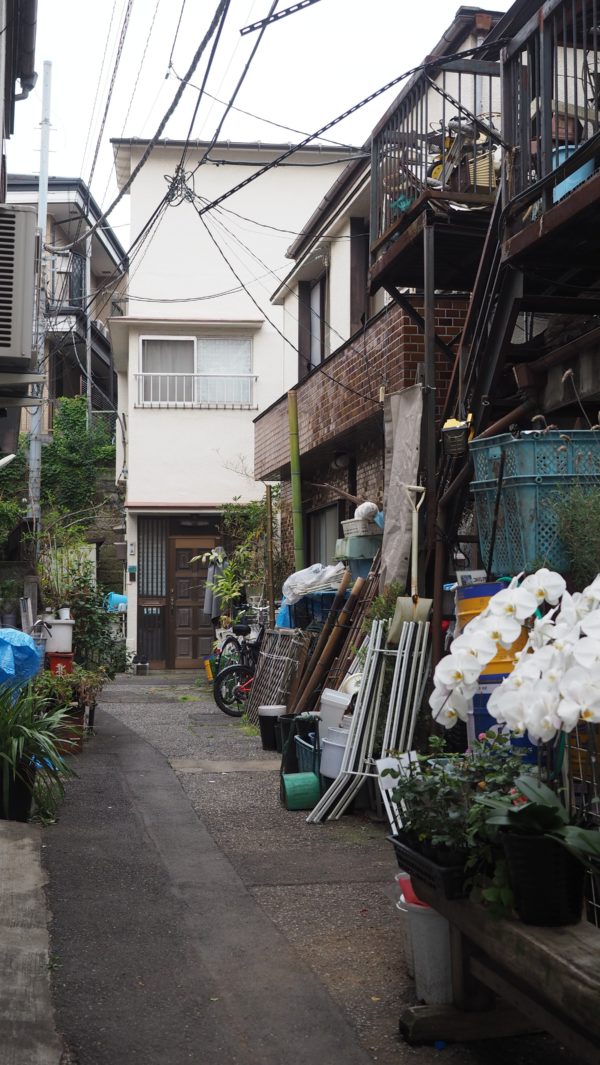 Harajuku for old people: Sugamo, Tokyo