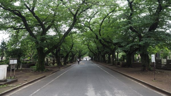 Yanaka old town in Tokyo, Japan