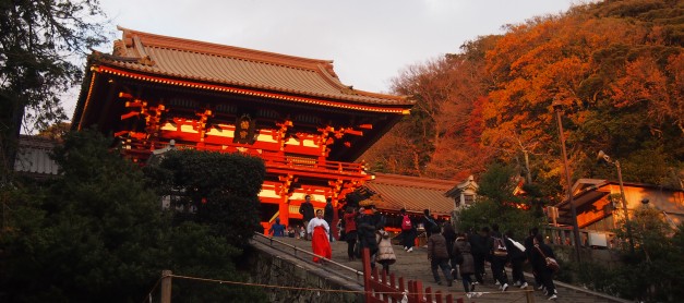 {Japan Winter} Kamakura: Tsurugaoka Hachimangu & Komachi-dori shopping street