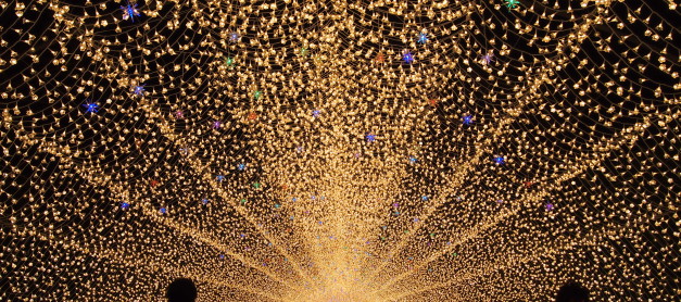 {Japan Winter} Nabana no Sato, Nagashima: Japan’s spectacular winter illumination