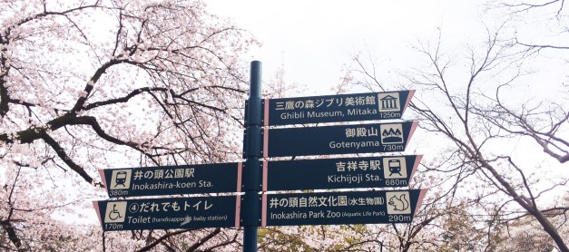 {Japan} Pretty in pink & pretty crowded at Inokashira-koen, Kichijoji